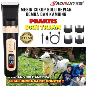 READY BaoRun C95 Mesin Alat Cukur Pencukur cukur domba garut kambing di cas Elektrik Bulu Hewan