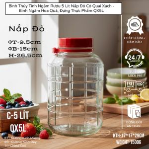 Bình Thủy Tinh Ngâm Rượu 5L Nắp Tím Có Quai- Bình Đựng Nước Detox Thủy Tinh QX5L