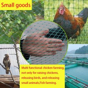 Free rope-20M/50/100M Chicken Net Range Net For Chicken Lambat Outdoor Bird Net Poultry Net