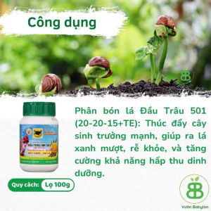 Phân Bón Đầu Trâu 501701901 Chuyên Hoa lan cây Kiểng -hủ 100gr