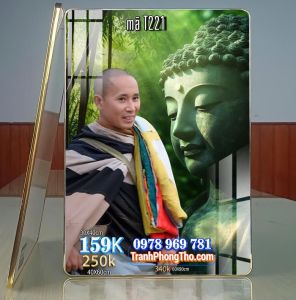 Tranh Ảnh Sang Trọng thầy THÍCH MINH TUỆ 221