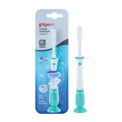 Pigeon Training Toothbrush Lesson 4 Mint