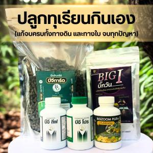 ชุด ดูแลทุเรียนเล็กปลูกไว้กินเองปลอดสาร