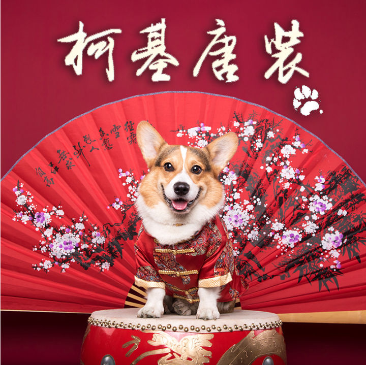 Corgi chinese best sale new year