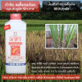 ป้องกัน กำจัด เพลี้ยจักจั่นมะม่วง เพลี้ยจักจั่น เพลี้ยต่างๆ และ แมลงจำพวกปากดูดต่างๆ ใช้ได้กับพืชทุกชนิด (1ลิตร ผสมน้ำได้ 400ลิตร). 