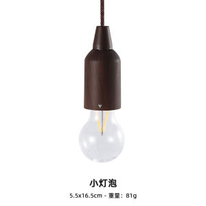 1*Pull String Light Portable Outdoor Camping Tent Lamp 2-Style Waterproof Atmosphere Light Daily Ultralight