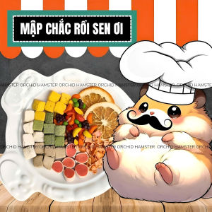 Thức Ăn Hamster Vị Bát Bửu Bổ Sung Vitamin/Đạm/Protein/Xơ Cho HamsterSócNhímThỏ/Bọ/Rát....