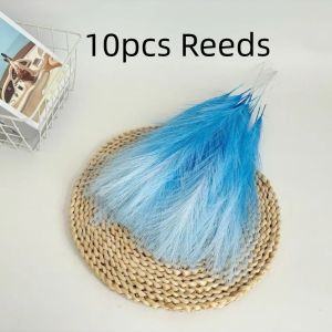 FOUNDTWO Artificial Pampas Grass DIY  Maidenhair Grass Bouquet Colorful Reed Plant Festival Celebration