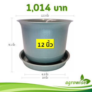 กระถาง กระถางต้นไม้ มินิมอล ถ้วยจีน+จาน ขนาด 12 นิ้ว สีเทา 10 ใบ ชิ้น อัน
