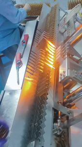 Supermodel Double Fiber Needle Drink Double Tip Drink Liquid Pilates Plant Extract Collagen Drink Oral Liquid OEM Labeling