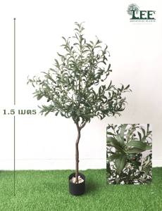 ต้นมะกอก เสมือนจริง 1.2 เมตร และ 1.5 เมตร ต้นไม้ปลอม ต้นไม้ประดิษฐ์ Leeartplants