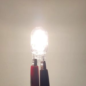Bóng đèn halogen t10 12v và 24v ghim dùng cho bảng đồng hồ taplodemi  đèn nội thất chính hãng