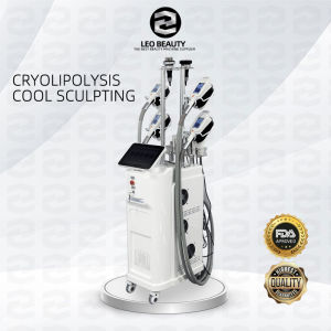 ⭐Manila showroom⭐cryotherapy 360 Cryolipolysis Machine Cryo Cool Sculpting  machine RF Cavitation Body Slimming fat freeze machine fat burner machine