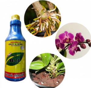 Phân Bón Lá Vitamin B1 Growmore 100ml giúp cây vọt đọt đâm chồi phát triển nhanh