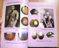 หนังสือ พระเครื่องเมืองสยาม เครื่องรางของขลัง ฉบับพิเศษ สำหรับนักนิยมเครื่องรางของขลัง ประวัติความเป็นมา พุทธคุณ พร้อมพระคาถาบูชา. 