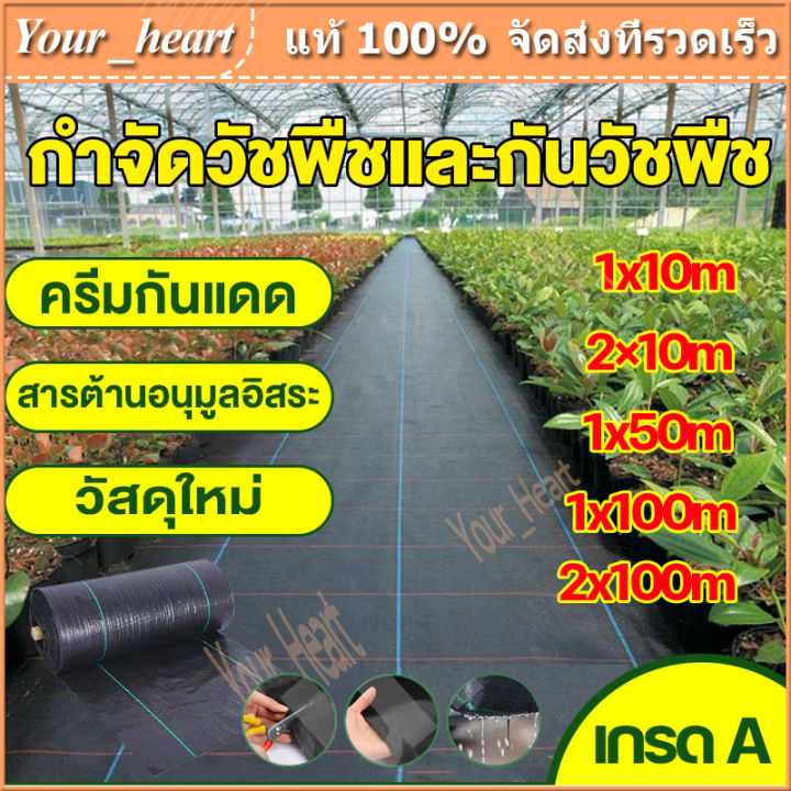 พลาสติกคลุมวัชพืชเกรดส่งออก UV 100% อายุ 4-5 ปี