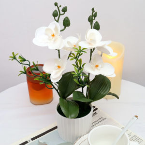 7pcs Artificial Eternal Flowers in Acrylic Dome with LED Lightfor WeddingValentines DayChristmas