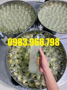 Nồi hấp điện 3 tầng size 52cm hấp flan bánh các loại có hẹn giờ điều chỉnh nhiệt độ