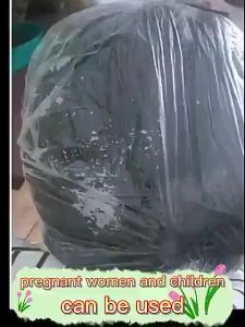 【BUY 1 TAKE2】Lice Terminator Licealiz Shampoo Head Lice Teatment Lice Remover KWELL Shampoo