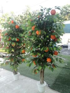 ต้นส้มไม้เทียม สูง 150 ซม. ต้นไม้มงคล ต้นไม้เทียมเกรดเอพร้อมกระถาง