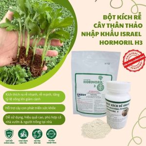 Bột Kích Rễ Israel Hormoril 3 Rooting Powder (Hũ 100g)