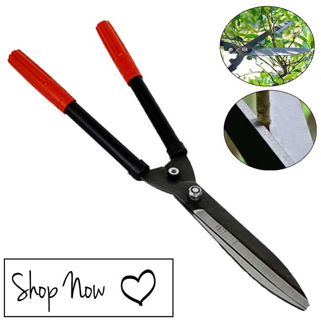 Plant on sale pruning scissors