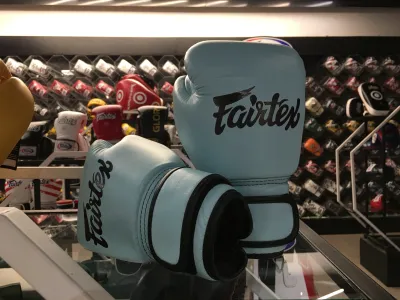Fairtex BGV20 Premium Matte Leather Muay Thai Boxing Gloves Baby Blue