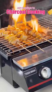 Tough Mama NTM-BBG1 Gas Barbecue Griller Adjustable Height with Food Tray Stainless Steel Body