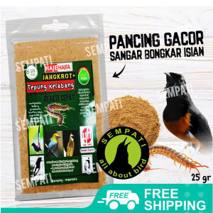 SEMPATI Jangkrot Tepung Kroto Madu + Tepung Kelabang Protein Tinggi Voer Halus Pakan Makanan Burung Murai Pleci Kacer Ciblek Trucuk Racikan Legendaris Reaksi Cepat Burung Gacor Dongkrak Stamina Power
