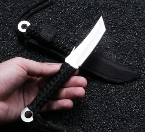 Mini straight knife outdoor camping barbecue home cutting steak cutting fruit multifunctional knife