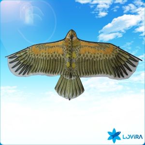 LoviRa Eagle Kite Novelty Animal Kites Outdoor Beach Garden Sport Games
