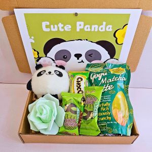 ✨ Panda Cute Giftset for Him or Her Green Simple Gift Couple LDR Boyfriend Girlfriend