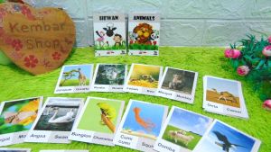 FC-HEWAN Flash Card Animals Alat Bantu Belajar Kartu Edukasi Binatang berbahasa Indonesia dan Inggris