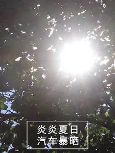 【1万人好评】汽车遮阳挡防晒隔热汽车前挡遮阳帘遮阳板伸缩玻璃罩遮光板车窗帘