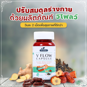 V Flow สารสกัดสมุนไพร ขิง พุทราจีน เห็ดหูหนูดำ  ช่วยหลอดเลือดแข็งแรง ลดความดันไขมันในเลือด 60 Capsule