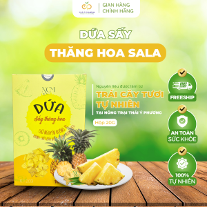 Dứa Sấy Thăng Hoa NCM Trái Cây Tươi Tự Nhiên Từ Trang Trại Sạch Thơm Ngon Trọn Vị Hộp 20g