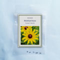 Black Eyed Susan Flower Seeds Rare Flower Seeds Heirloom Flower Seeds Organic Seeds Rudbeckia Seeds for Planting Rudbeckia Seeds for Gardening. 