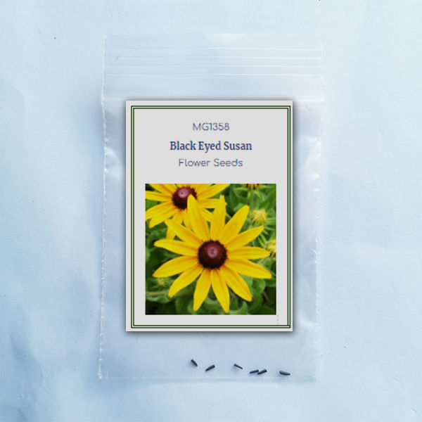 Black%20Eyed%20Susan%20Flower%20Seeds%20Rare%20Flower%20Seeds%20Heirloom%20Flower%20Seeds%20Organic%20Seeds%20Rudbeckia%20Seeds%20for%20Planting%20Rudbeckia%20Seeds%20for%20Gardening%20-%20Image%208