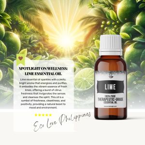 Premium Lime Essential Oil 100% Pure Therapeutic Grade Steam Distilled 100% Pure Vegan Aromatherapy