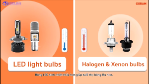 Bóng đèn Led OSRAM T19 xe Future 1 Dream Wave alpha Air Blade 110 Thái (7735YE)