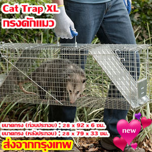 Rocky1-กรงดักแมวCat Trap Size XL เหล็กเส้นชุบกาวาไนท์กันสนิม สามารถพับได้ จับแมวจรจัด จับแมว ดักจับแมว ดักจับแมวจร ไล่แมวถาวร ปลอดภัยต่อคนและสัตว