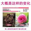Soften the private parts whiten the lips and labia Whitening essential oil击退黑色素 恢复嫩红才情私处美白精油祛黑素嫩红素祛除暗沉. 