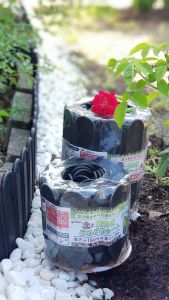 Hàng rào nhựa chính hãng Daim (đủ kích thước lựa chọn) viền vườn trồng cây