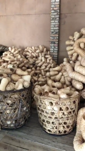 Bird Hatching Breeding House With Hook Handwoven Bird Nest for Garden Decoration Outdoor Use