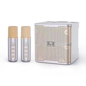 Newest Wireless Dual Microphone Bluetooth Speaker Pro Karaoke Portable Smart External Karaoke Device 3D Stereo Amplifier Outdoor Family Party Ktv Equipment ys213