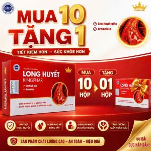 mua 10 tăng 1 LONG HUYẾT KINGPHAR – Hỗ trợ hoạt huyết giảm sưng tấy và bầm tím