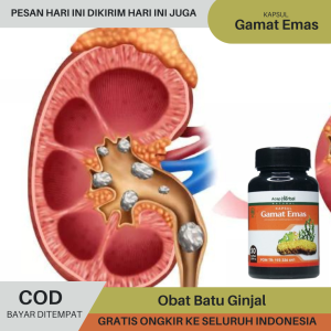 Obat Batu Ginjal Obat Infeksi Saluran Kencing Kemih Gangguan Ginjal Pelancar Saluran Kemih Obat Susah Buang Air Kecil Obat Anyang Anyangen Kencing Beser Nanah Obat Kencing Batu Gagal Ginjal Bocor - Gamat Emas Kapsul