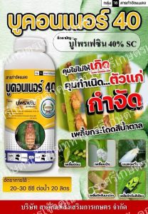 บรูคอนเนอร์40ตราหวีทองสารบูโพรเฟซิน