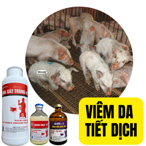 VIÊM DA TIẾT DỊCH (QUINO GOLD- LA+GLUCO C+NANO SILVSER)