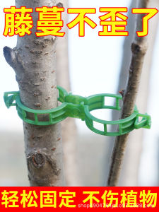 Plants Vegetable Fastening Clip Tomato Clips Supports Reusable Garden Clips Plants Bundled Tools
